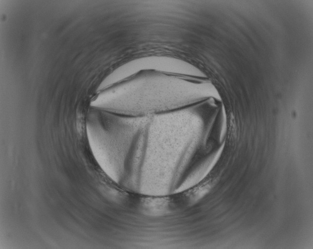 X0000081440135200702092234