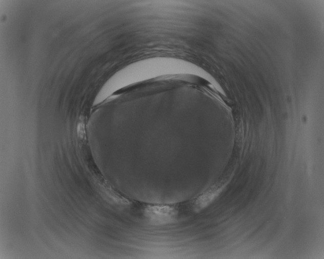 X0000081440137200702092234