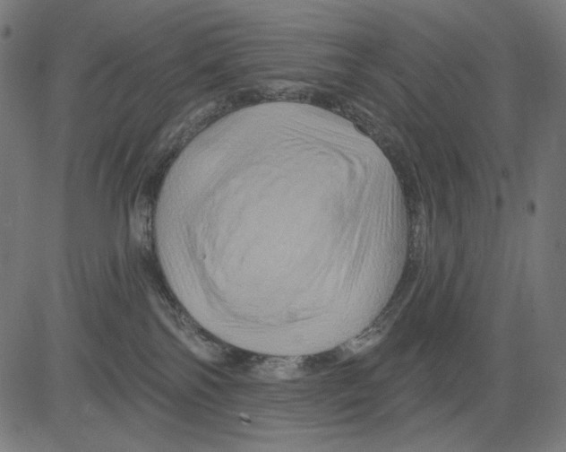 X0000081440138200702092234
