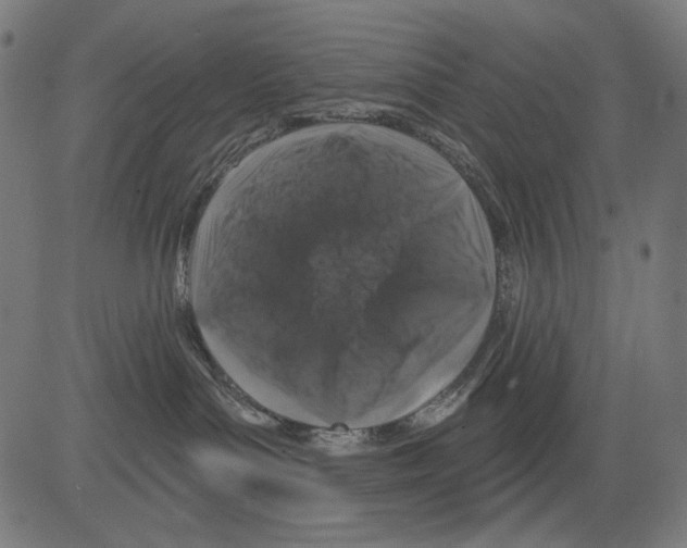 X0000081440143200702092234