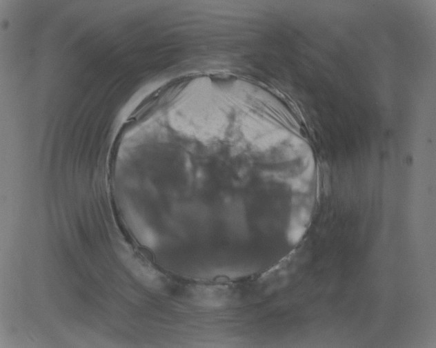 X0000081440147200702092233