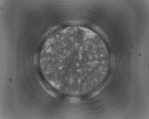 X0000081440165200702092233