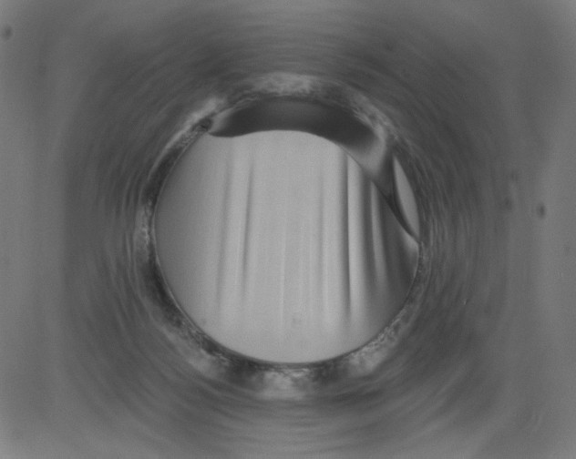 X0000081440172200702092234