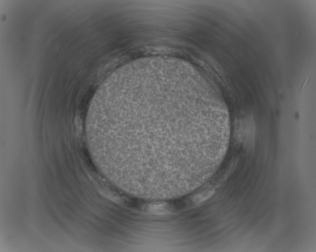 X0000081440173200702092234