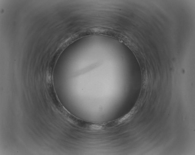 X0000081440176200702092234