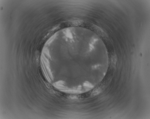 X0000081440177200702092234