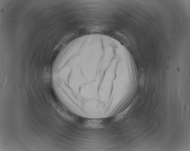 X0000081440179200702092234