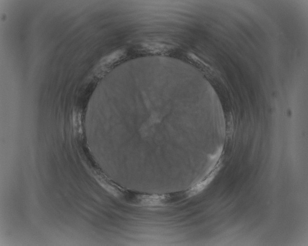 X0000081440182200702092234