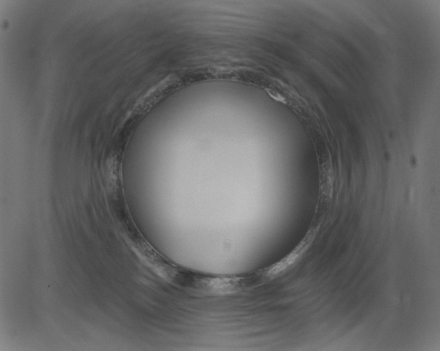 X0000081440184200702092234
