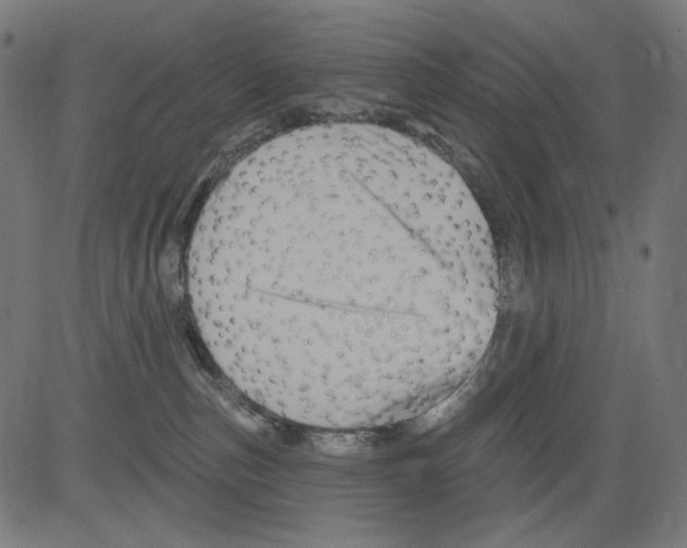X0000081440187200702092234