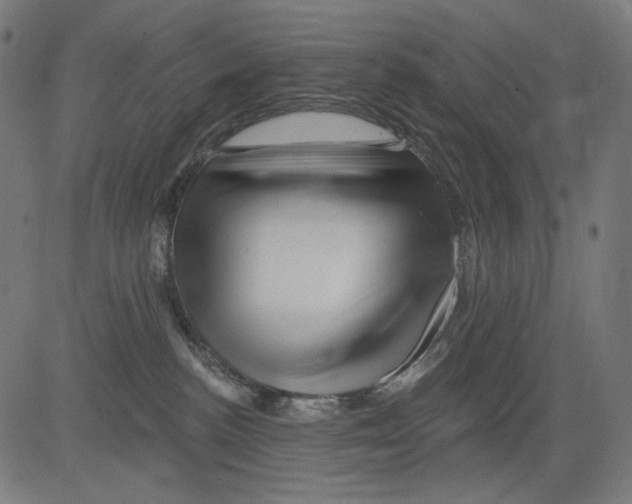 X0000081440188200702092234