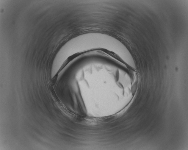 X0000081440190200702092234