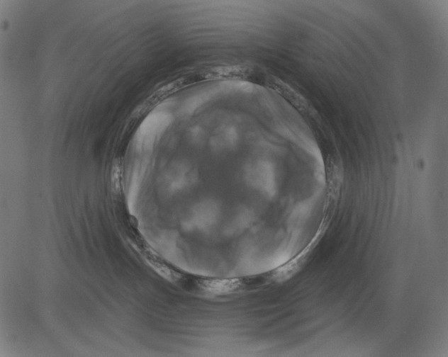 X0000081440191200702092234