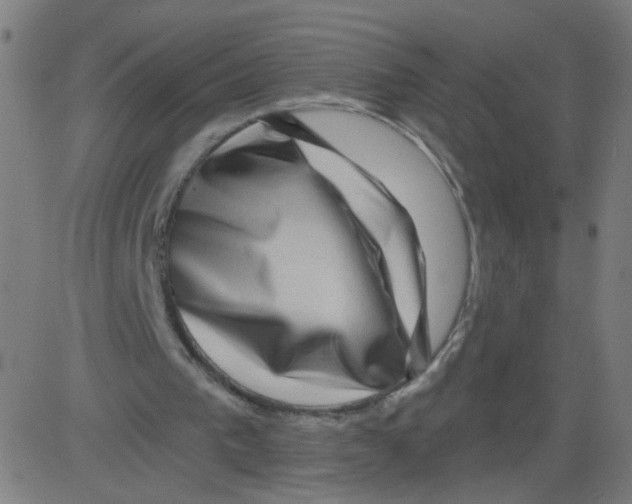 X0000081440193200702092233