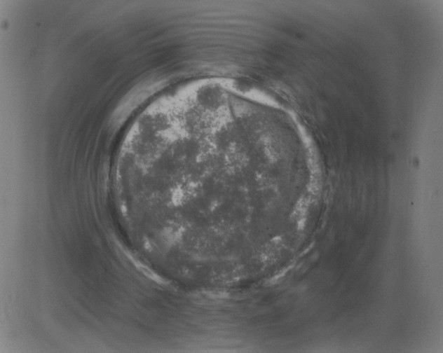 X0000081440194200702092233