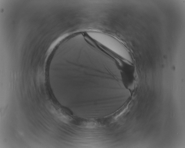 X0000081440200200702092233
