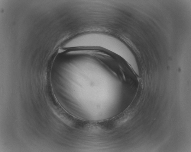 X0000081440207200702092233