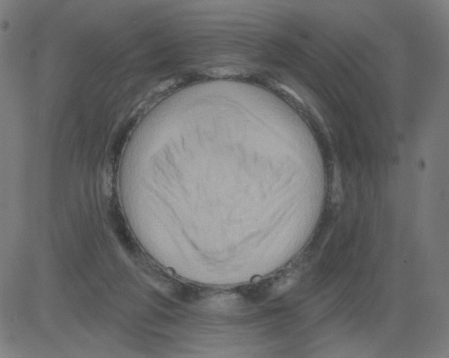 X0000081440210200702092233