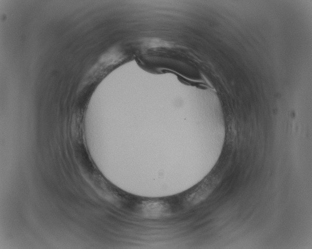 X0000081440218200702092233