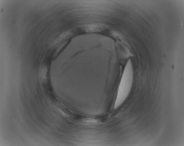 X0000081440219200702092233