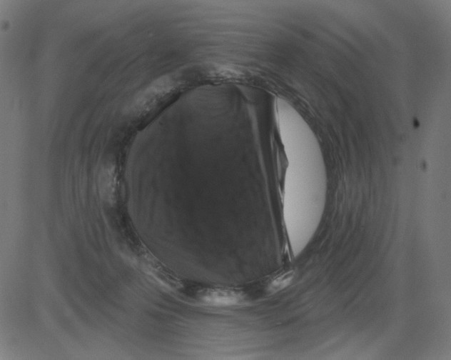 X0000081440223200702092233