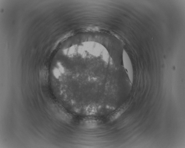 X0000081440228200702092233