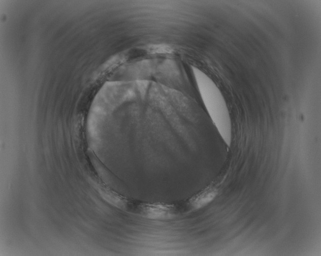 X0000081440229200702092232
