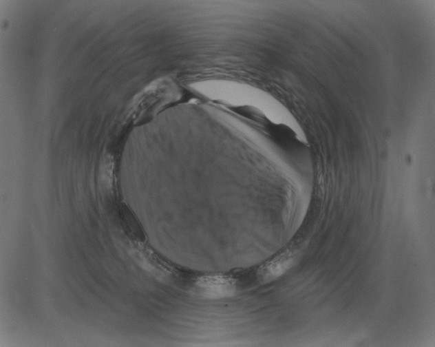 X0000081440231200702092232