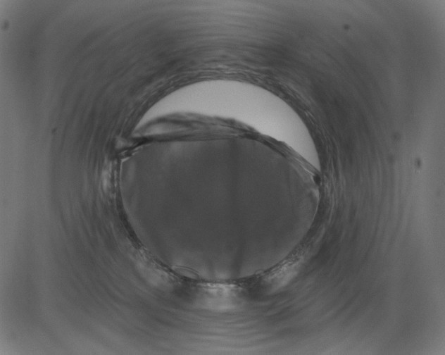 X0000081440233200702092232
