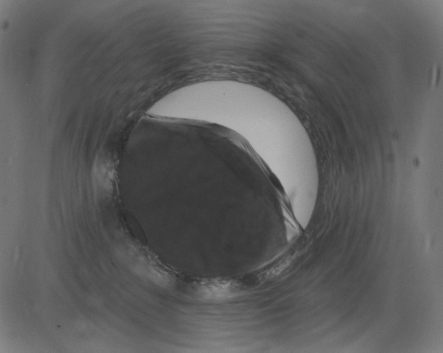 X0000081440235200702092232