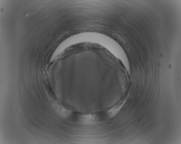 X0000081440237200702092232