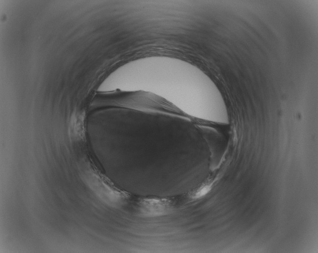 X0000081440239200702092232
