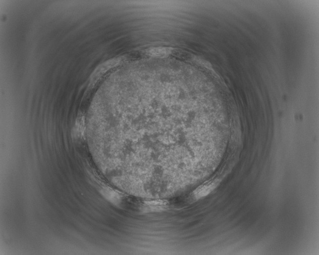 X0000081440240200702092232