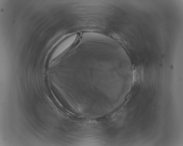 X0000081440243200702092232