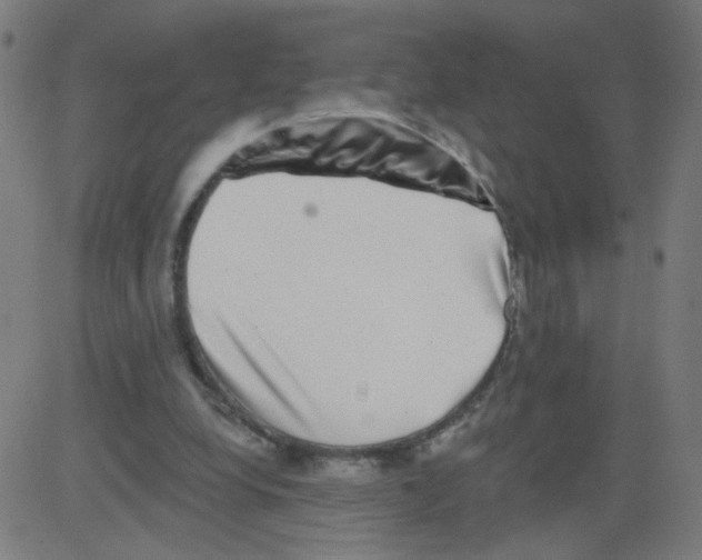 X0000081440248200702092232