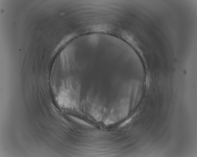 X0000081440249200702092232