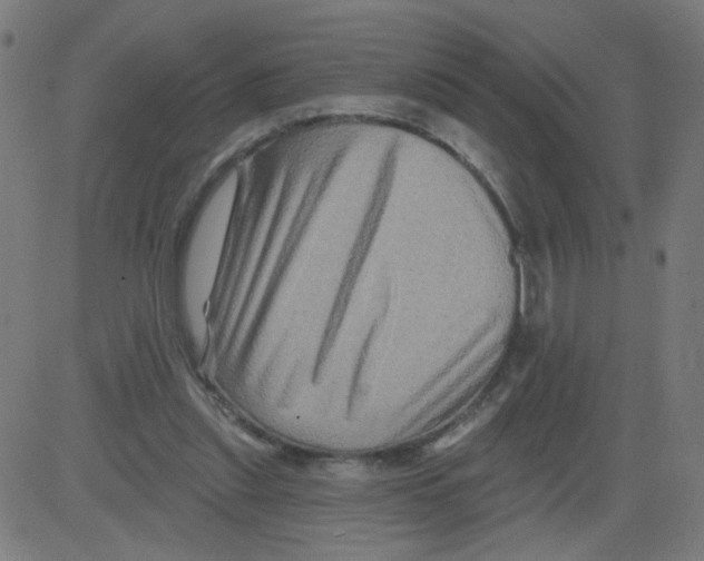 X0000081440253200702092232