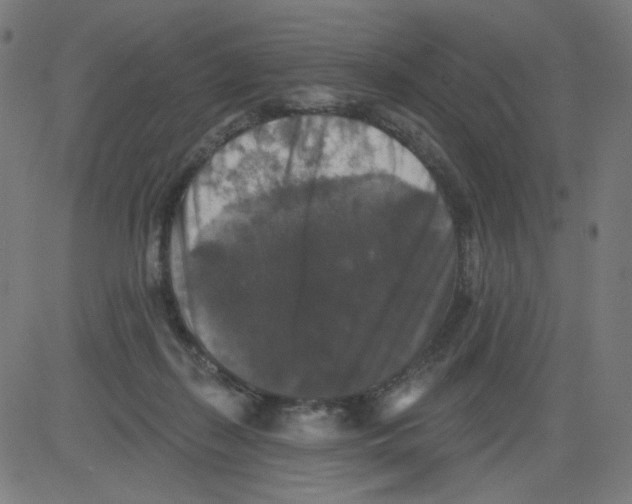 X0000081440267200702092232