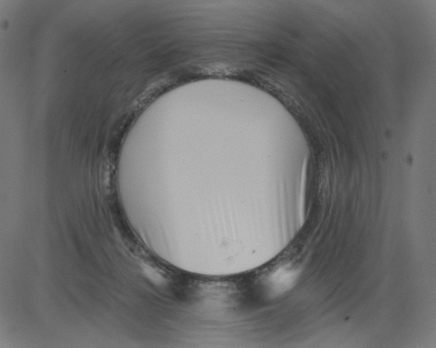 X0000081440268200702092232