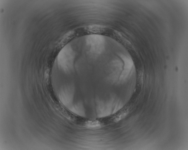 X0000081440271200702092232