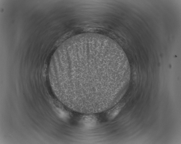 X0000081440275200702092232