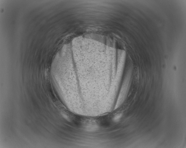 X0000081440276200702092232