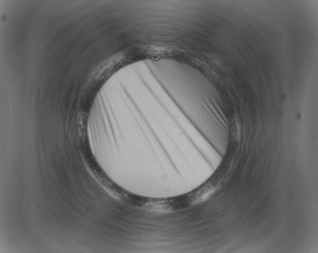 X0000081440280200702092232