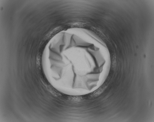 X0000081440282200702092232