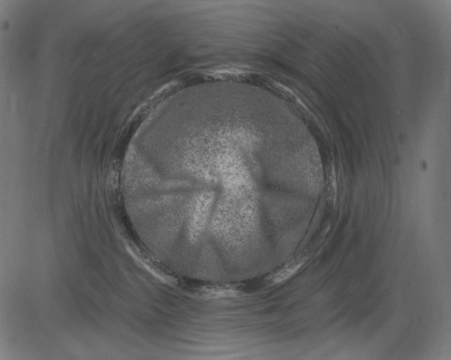 X0000081440284200702092232