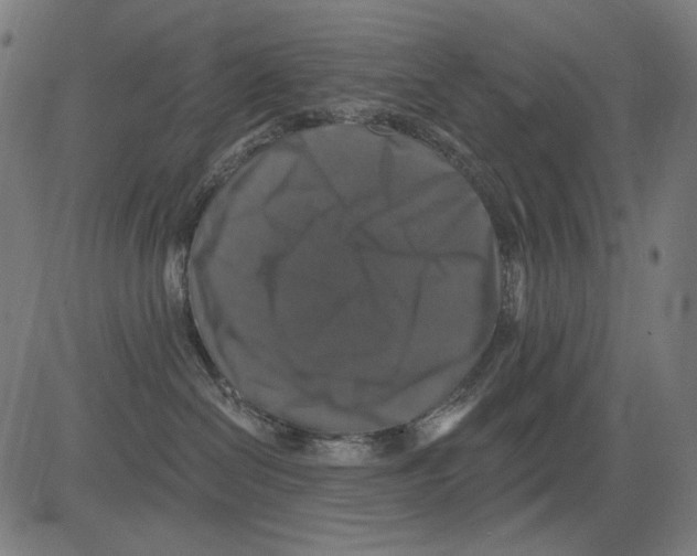 X0000081440286200702092232