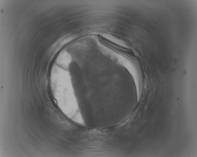 X0000081440290200702092231