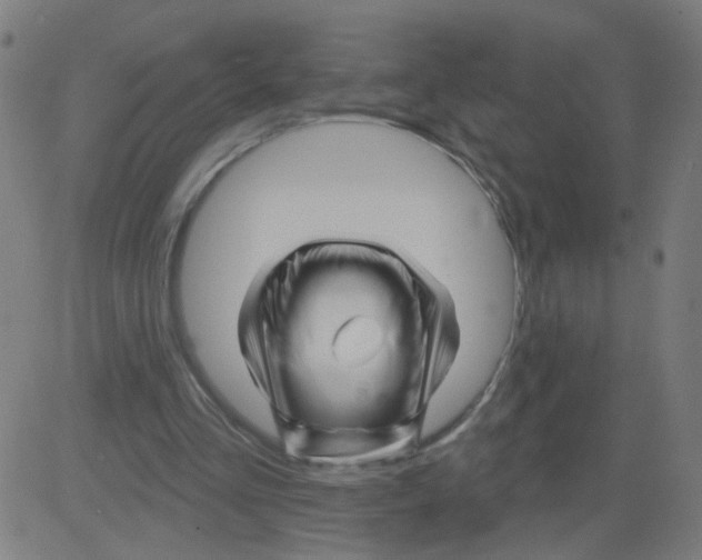 X0000081440293200702092231