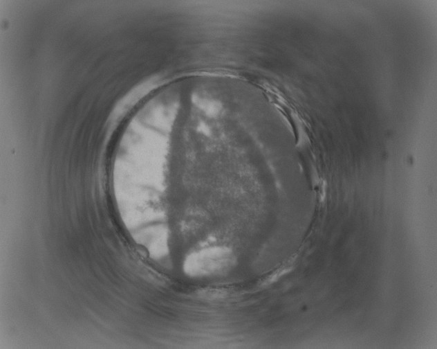 X0000081440294200702092231