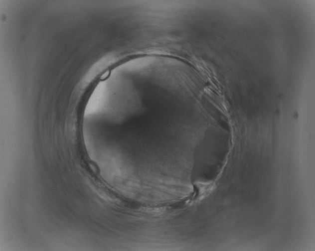 X0000081440295200702092231